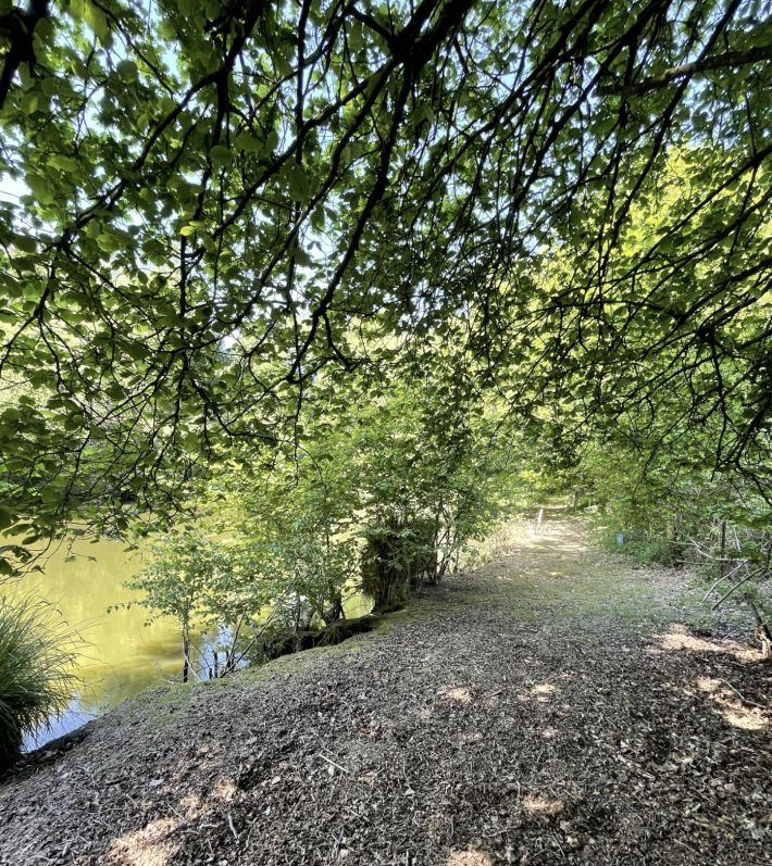 Leisure Land with Fishing Lake and Woodland