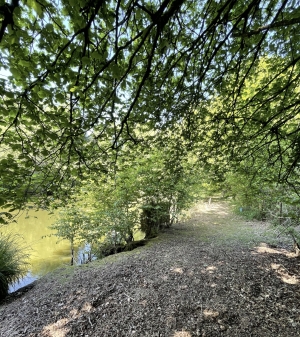 Leisure Land with Fishing Lake and Woodland