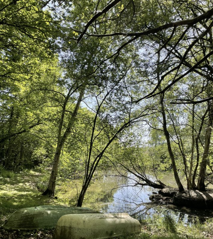 Leisure Land with Fishing Lake and Woodland