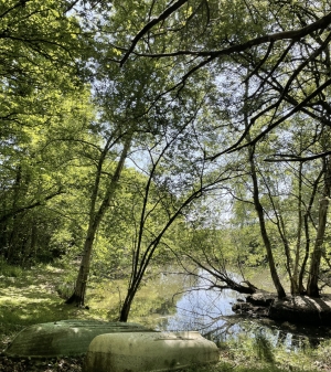 Leisure Land with Fishing Lake and Woodland