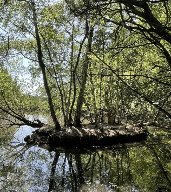 Leisure Land with Fishing Lake and Woodland