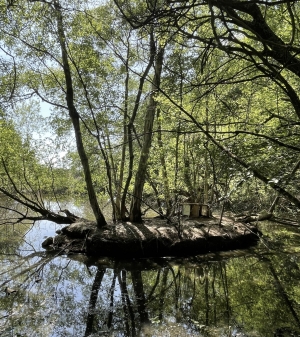 Leisure Land with Fishing Lake and Woodland