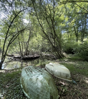 Leisure Land with Fishing Lake and Woodland