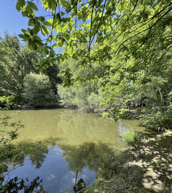 Leisure Land with Fishing Lake and Woodland