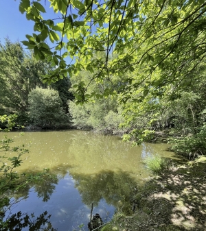 Leisure Land with Fishing Lake and Woodland