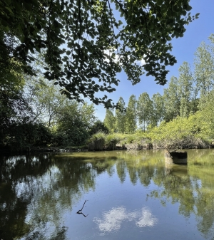 Leisure Land with Fishing Lake and Woodland