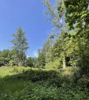 Leisure Land with Fishing Lake and Woodland