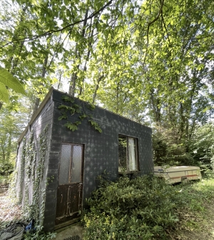 Leisure Land with Fishing Lake and Woodland
