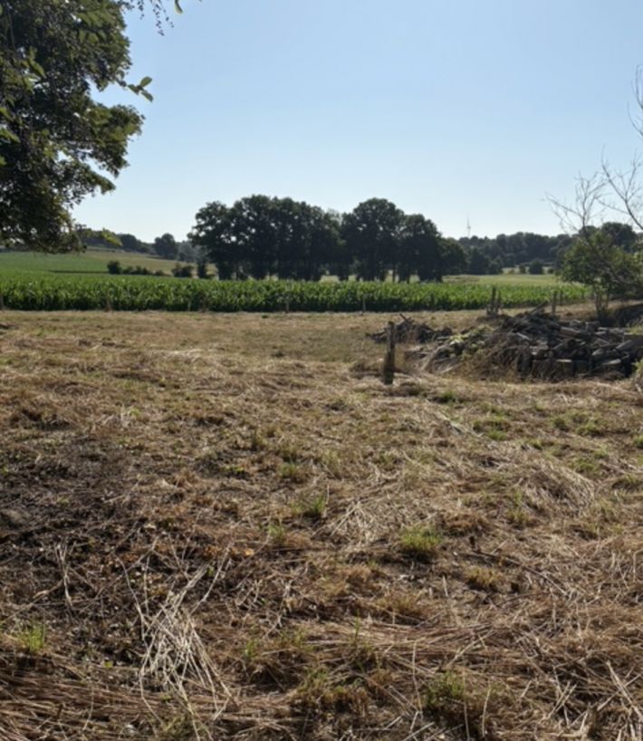 Stone Built Country House with Outbuilding