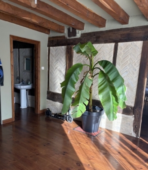 Detached Country Longere Style Property with Open Views