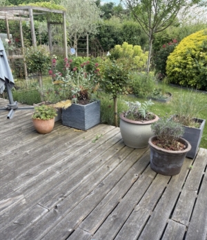 Contemporary Detached House with Lovely Garden