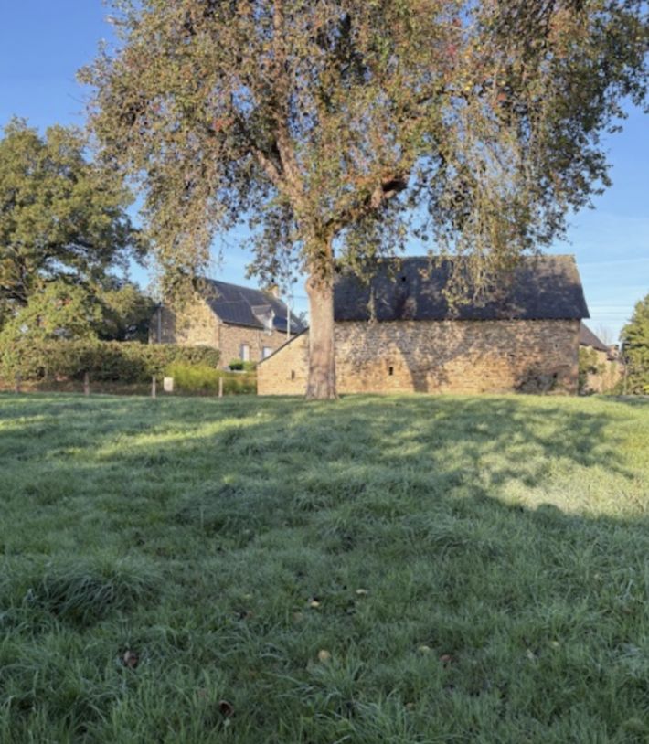 Two Stone Barns to Renovate and Develop