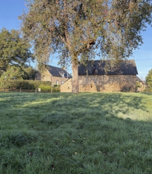 Two Stone Barns to Renovate and Develop