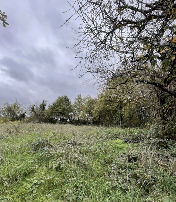 Country House to Renovate in Rural Hamlet