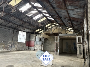 Detached House with Garden and Huge Outbuilding