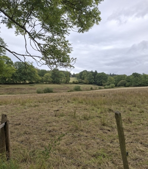 Detached Longere House with Outbuildings
