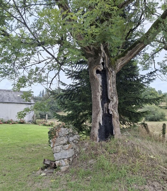 Detached Longere House with Outbuildings