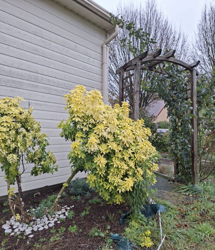 Detached House with Garden in Rural Sector