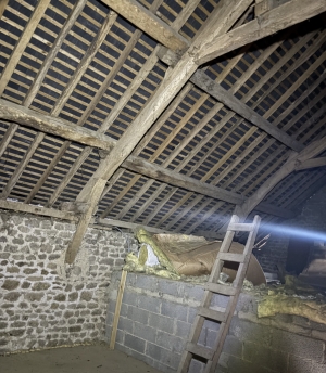 Habitable Village House with Garden