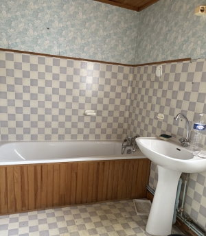 Habitable Village House with Garden