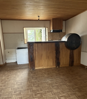 Habitable Village House with Garden