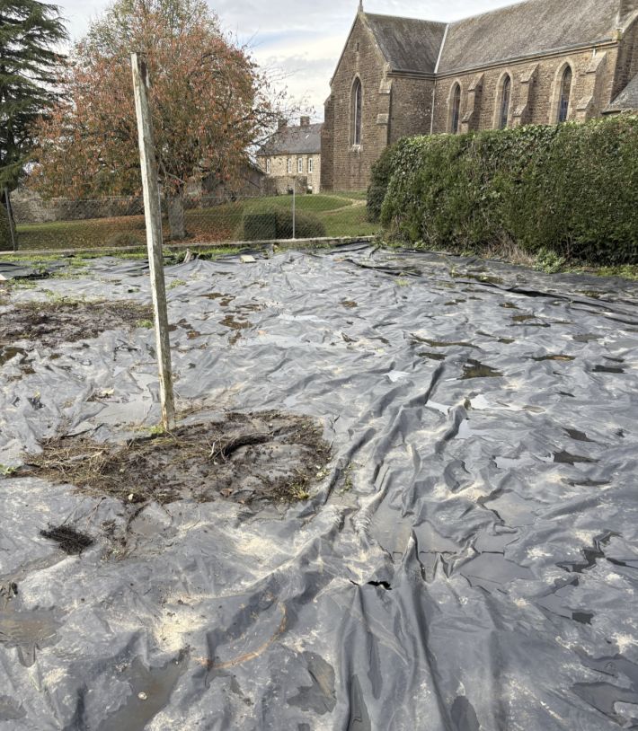 Habitable Village House with Garden