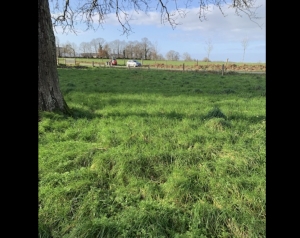 Country House to Renovate