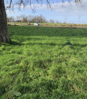 Country House to Renovate