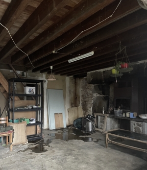 Farmhouse and Outbuildings with Land