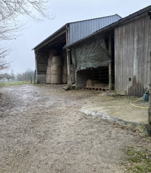 Farm House and Farm Complex Outbuildings with Land