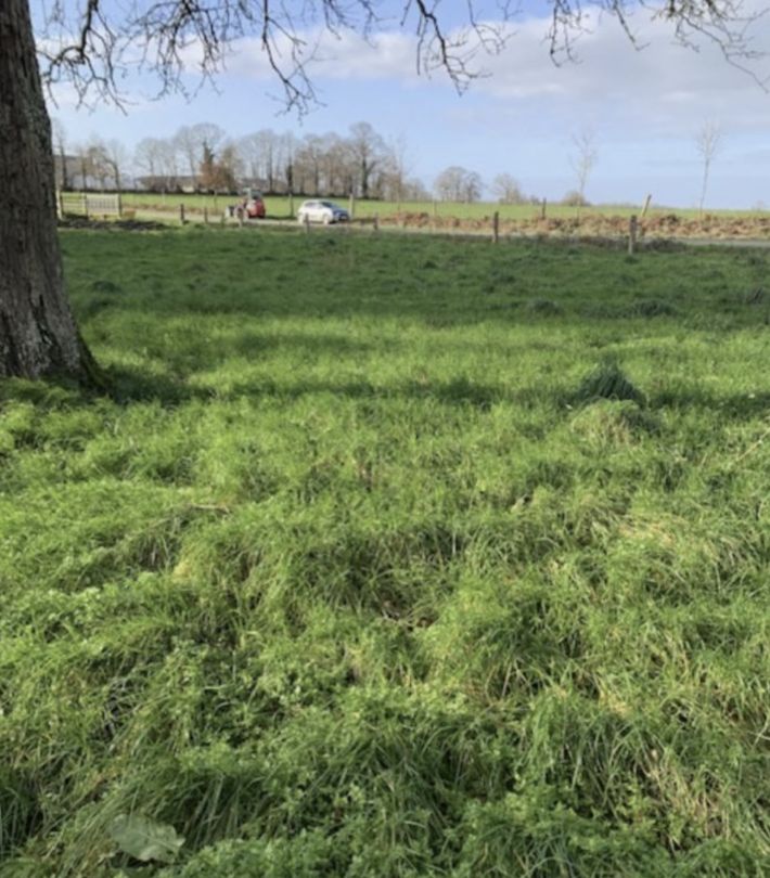 Country House to Renovate, Ideal Location