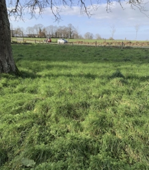 Country House to Renovate, Ideal Location