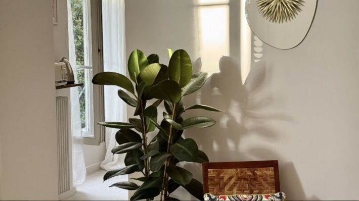 Lovely Apartment in Delightful Building