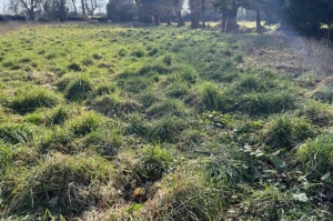 Almost one Acre of Building Land For Sale