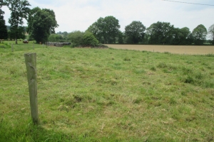 Country House to Renovate, Great Project