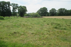 Country House to Renovate, Great Project
