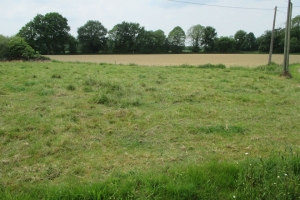 Country House to Renovate, Great Project