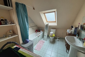 Detached House with Garden