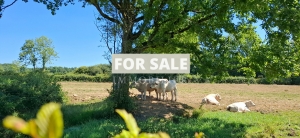 Detached Country House with Open Views