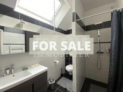 Detached Country House with Outbuilding