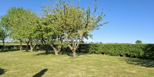 Detached Country House with Many Features