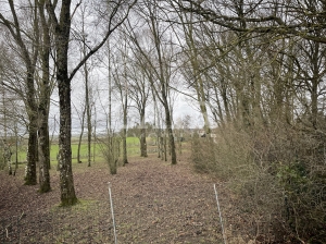 Detached Country House with Open Views