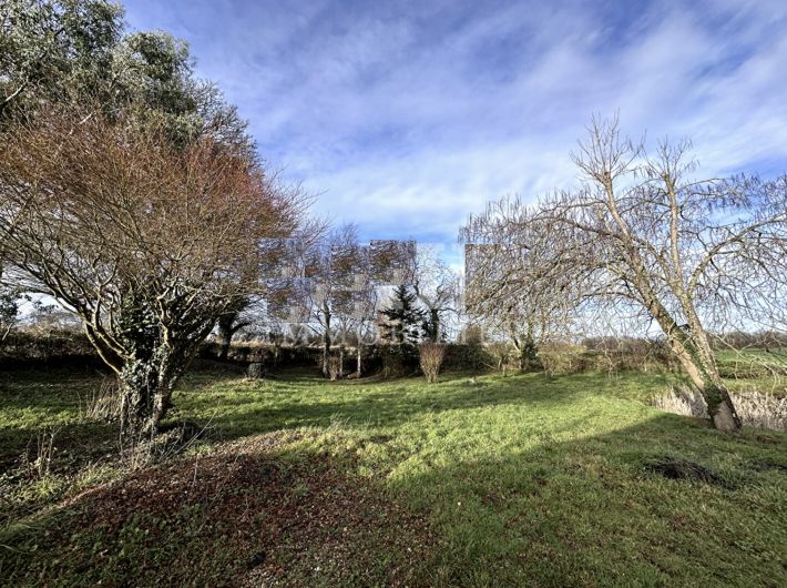 Lovely Detached Country House with Outbuilding