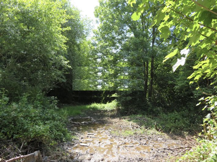Detached Country House with Stream on Border