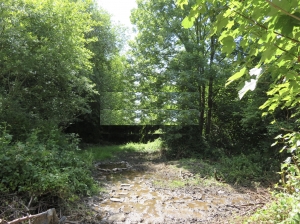 Detached Country House with Stream on Border