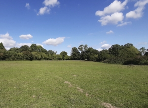 Detached Country House in 1,7 Hectares with Open Views