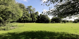 Detached Country House in 1,7 Hectares with Open Views