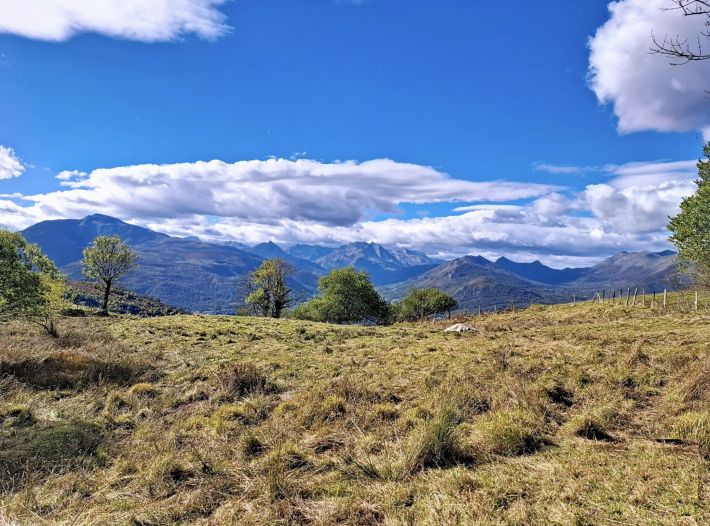Fairytale Cottage Style Period Property