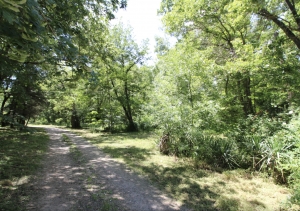 Country House With 1.8 Hectares of Land