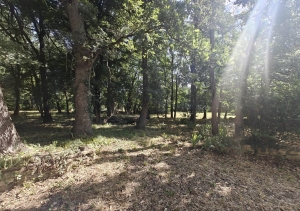 Country House With 1.8 Hectares of Land